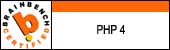 PHP 4 Programmer